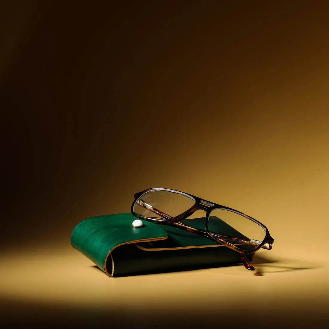 noir - Specs Case / Stationery Case Emerald Sea